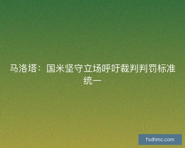 马洛塔：国米坚守立场呼吁裁判判罚标准统一