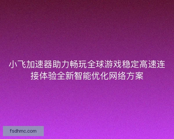 小飞加速器助力畅玩全球游戏稳定高速连接体验全新智能优化网络方案