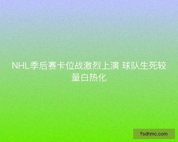 NHL季后赛卡位战激烈上演 球队生死较量白热化